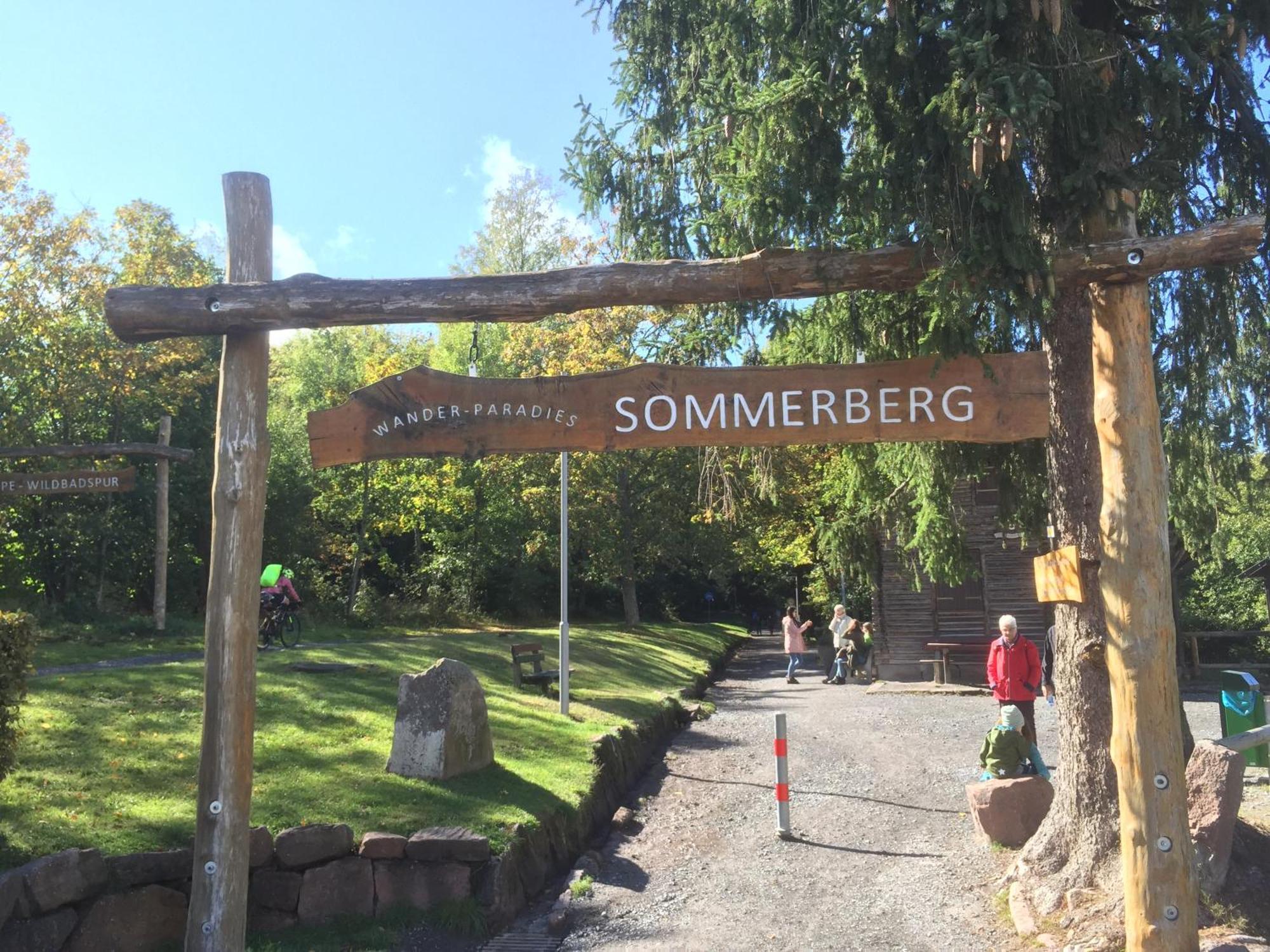 Ferienwohnung Kuckuck Auf Dem Sommerberg Incl Schwarzwaldcard Plus - 2 Zimmer 50Qm 바드윌드바드 외부 사진